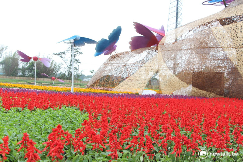 桃園是台灣重要的花卉生產基地，這次農博也以大片花海，邀請民眾遊賞。   圖：呂晏慈/攝