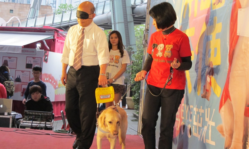 前行政院長蘇貞昌22日出席導盲犬活動時，戴上眼罩，由導盲犬帶著下樓梯。   圖：林朝億/攝
