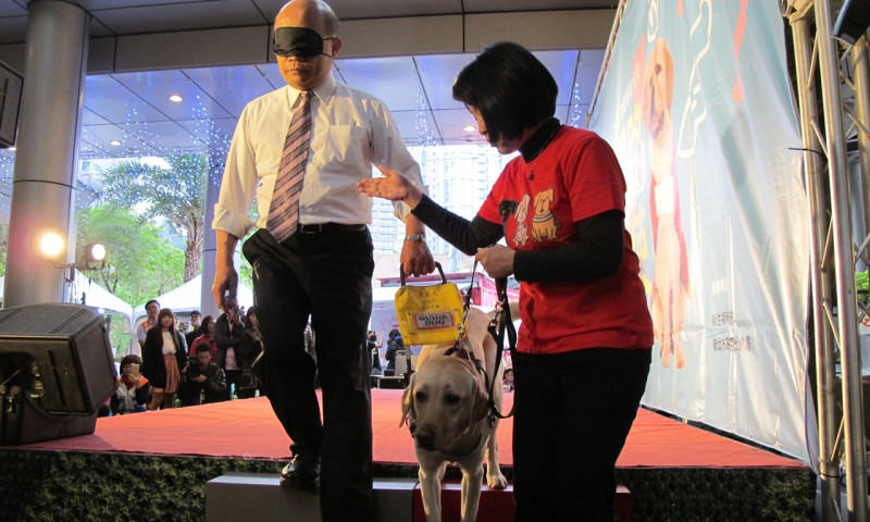 前行政院長蘇貞昌22日戴上眼罩，由導盲犬引導下階梯，體驗視障者的生活。   圖：林朝億/攝