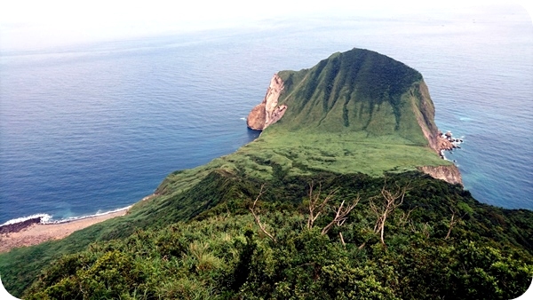 龜山島因外型酷似浮龜得名，是著名的賞鯨地點。   圖：東北角暨宜蘭海岸國家風景區管理處提供