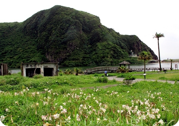 龜山島保留了相當原始的自然生態，大片野百合為小小的島嶼帶來一點春天氣息。   圖：東北角暨宜蘭海岸國家風景區管理處提供