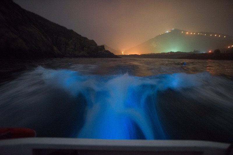 海面上藍色夜光閃閃，馬祖藍眼淚被CNN列為世界25大奇景之一。   圖：翻攝自北竿藍眼淚粉絲團臉書