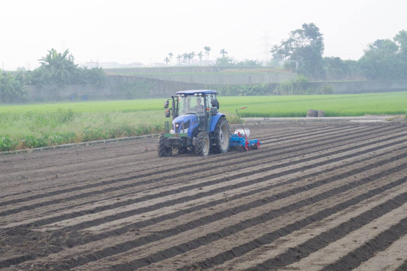 台中市政府農業局積極輔導海線地區農民，將二期作再生稻轉作非基因改造大豆。   圖：台中市政府提供