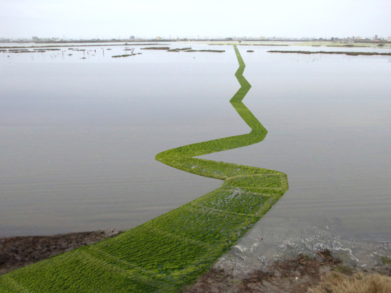 來自荷蘭的雙人組Annechien和Gert-Jan為成龍村發想的提案叫做「微氣候生命線」，以竹子為骨架，做成一個又大又彎曲的線條，上面鋪滿海藻(石蓴)，從陸地一路延伸到濕地裡。   圖:取自成龍濕地國際藝術節臉書