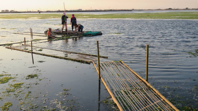 來自荷蘭的雙人組Annechien和Gert-Jan為成龍村發想的提案叫做「微氣候生命線」，以竹子為骨架，做成一個又大又彎曲的線條，上面鋪滿海藻(石蓴)，從陸地一路延伸到濕地裡。也在２９日，在村民和志工的協力下，進入溼地裝置。   