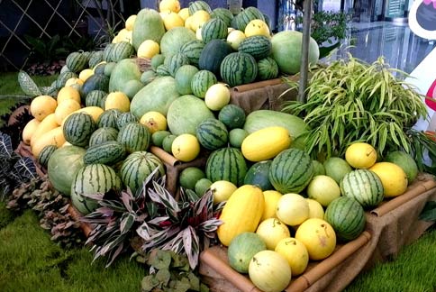 各種瓜類更是所有人日常重要的食物及蔬果來源。   圖：農委會提供