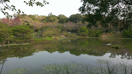 鳥松濕地公園是台灣第一座以人工濕地為主題的公園，近期推廣生態環境教育。   圖：翻攝自鳥松濕地公園官網