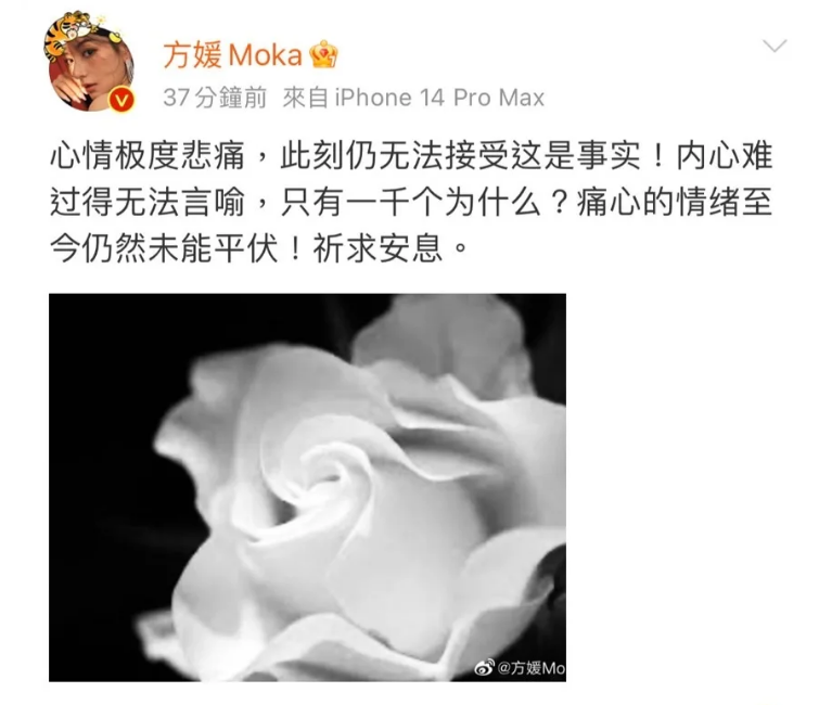 方媛發短文，對蔡天鳳表達哀悼。   圖: 翻攝微博
