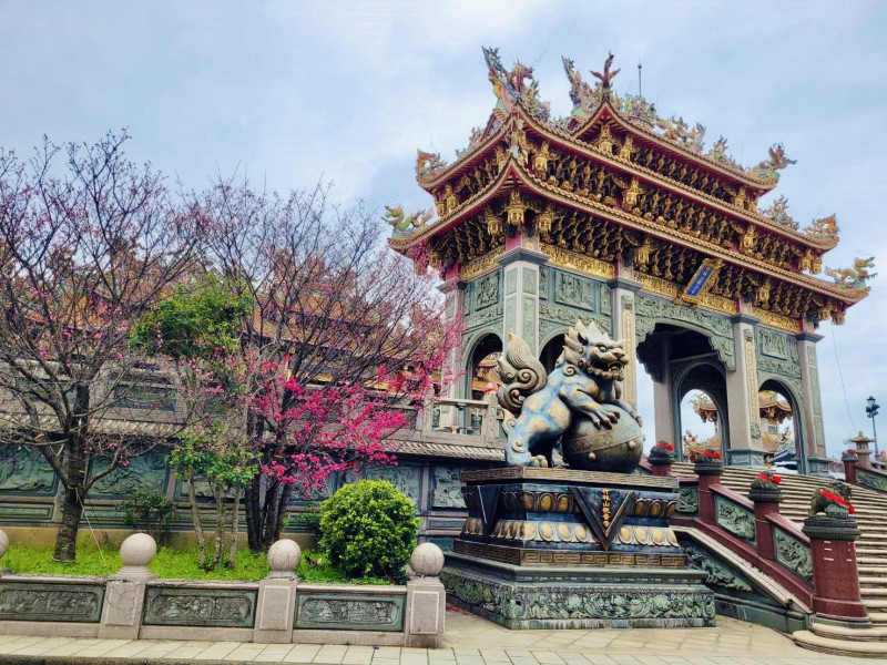 竹林山寺雕梁畫棟的觀宇與奼紫嫣紅的櫻花交互輝映。   圖：新北市景觀處提供