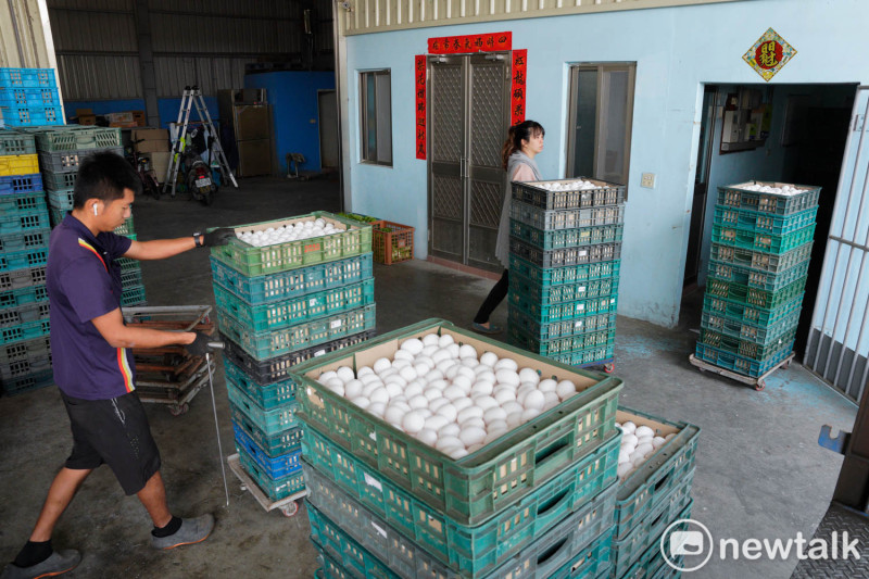  一位運蛋車司機將37箱裝著雞蛋的蛋箱上貨車。   圖：張良一/攝