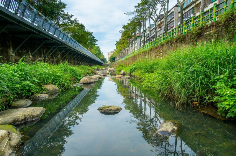 藤寮坑溝一期水環境營造計畫後，河道已轉變成綠意盎然、充滿豐富植生的近自然溪流，獲得地方好評且榮獲諸多獎項。   圖：新北市水利局提供