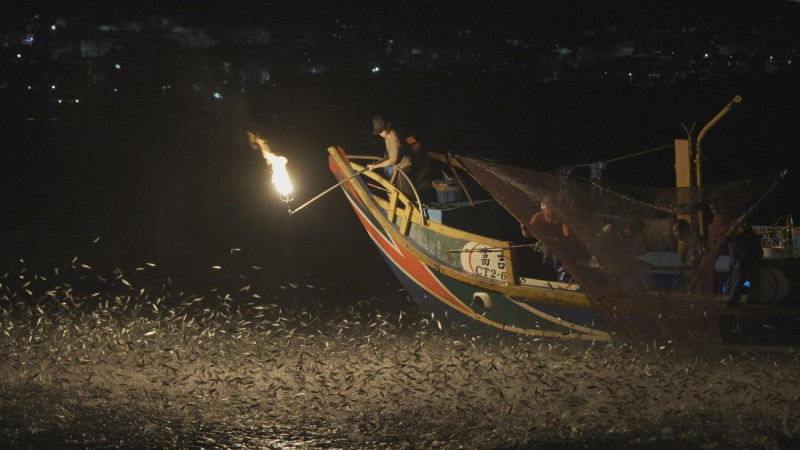 漁船點燃磺火，吸引成千上萬的青鱗魚飛躍海面。   圖：新北市觀旅局提供
