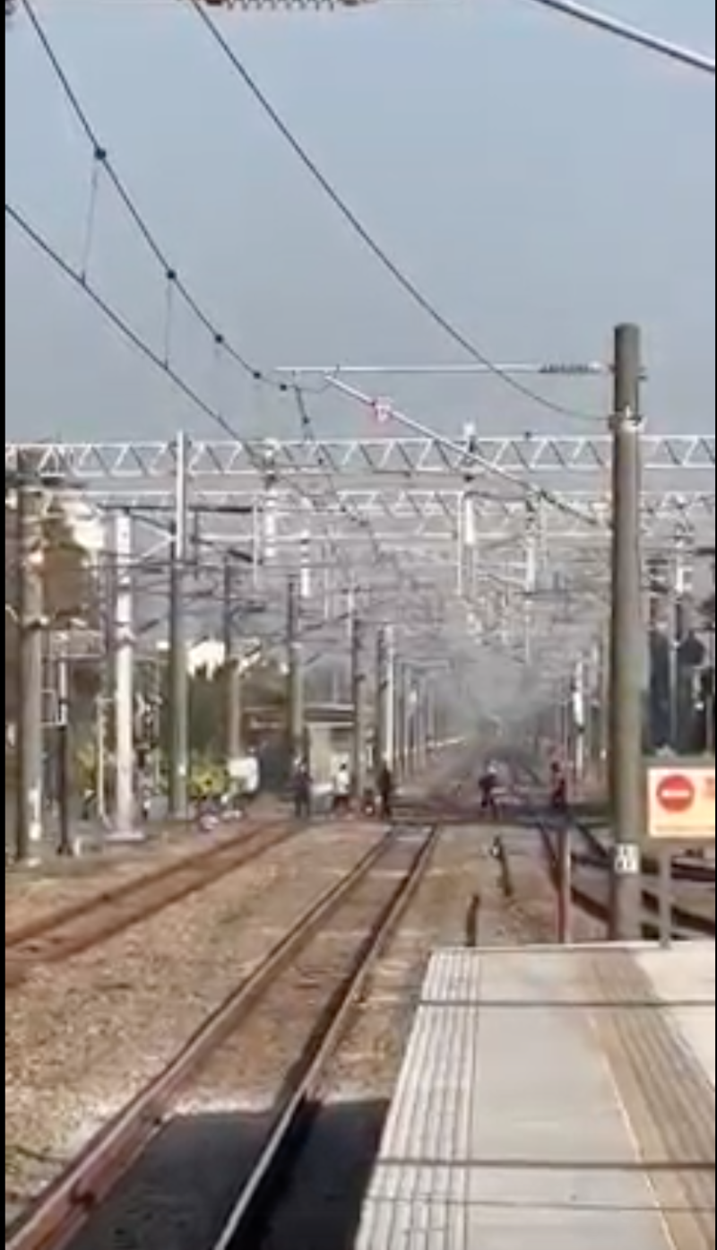 台鐵證實此次事件影響3列車，造成誤點42分，後續影片也在臉書「台灣便當管理局-附屬鐵路部」曝光。   圖：翻攝自台灣便當管理局-附屬鐵路部臉書