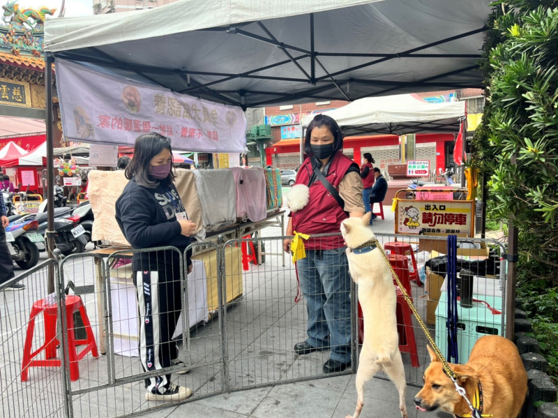 動保員陳美秀在假日辦理認養活動，提高曝光率。   圖：新北市動保處提供