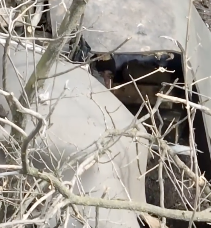 烏軍發現落單烏軍躲藏於樹林中。   圖：翻攝推特