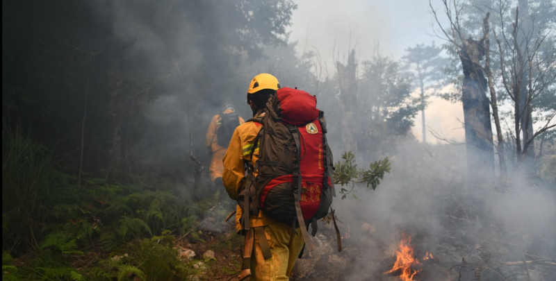 農業委員會林務局於今(9)日表示，目前已進入森林火災好發期。   圖：翻攝自農業委員會林務局官網