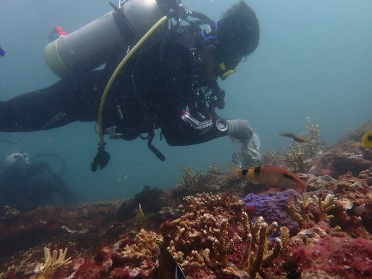 將生長健康的珊瑚移植至卯澳灣珊瑚苗團中。   圖：新北市漁業處提供