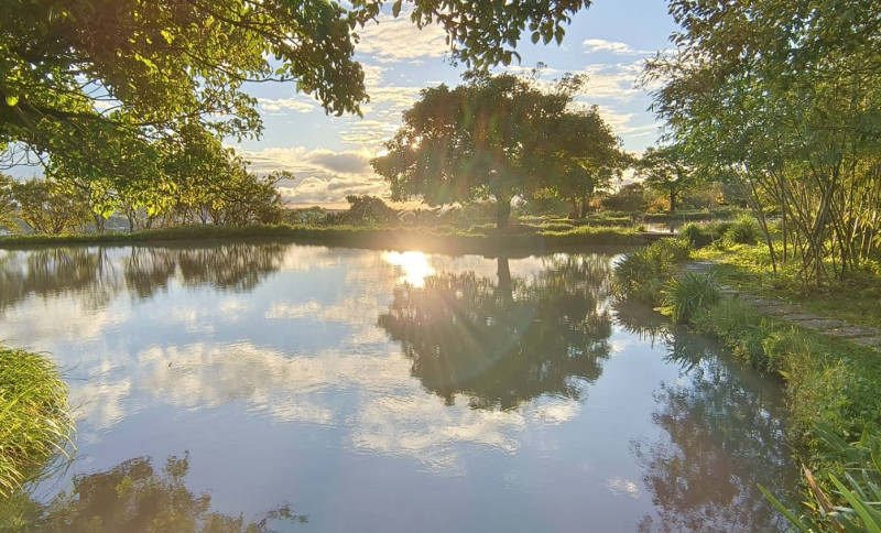 千坪水池田心子，藍天白雲與青山綠樹倒映水田裡，像極了藝術大師的水墨畫，接近夕陽西下十分迷人。   圖：新北市景觀處提供
