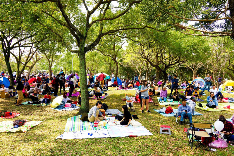 3月18日至25日還有「花伴野餐」活動。   圖：翻攝自台北市政府觀光傳播局官網