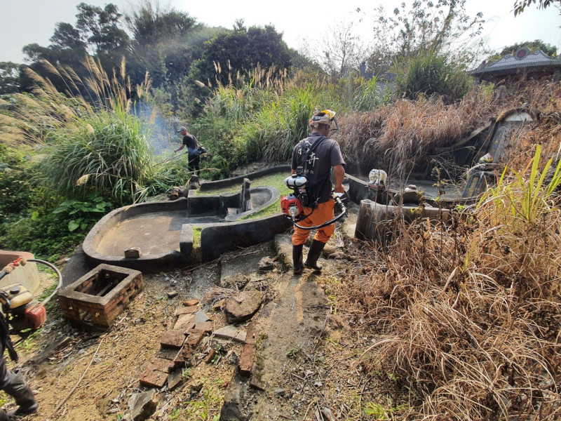 樹林區公墓區除草。   圖：新北市民政局提供