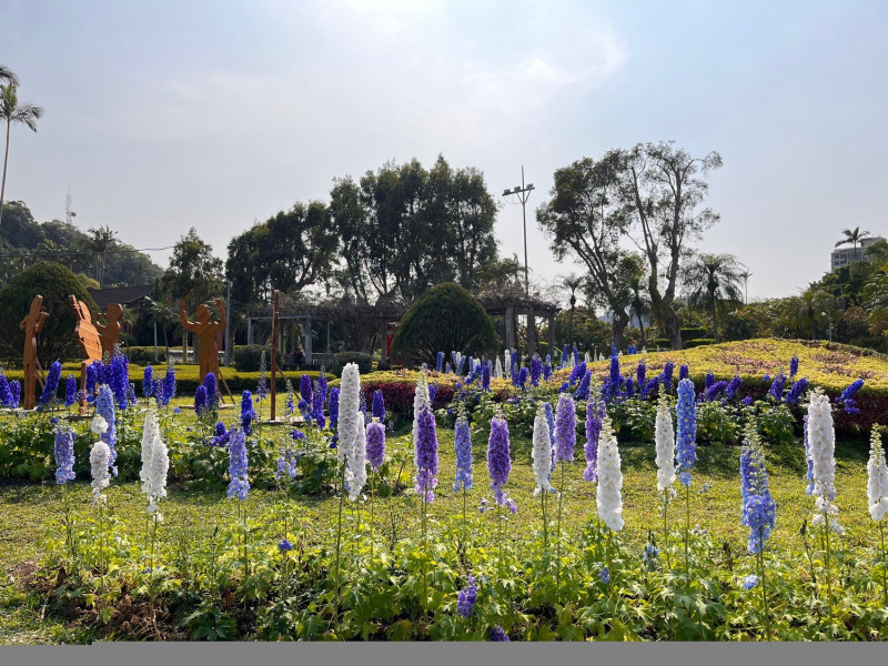 西式庭園內有少見藍白色的大花飛燕草。   圖：翻攝自台北市政府工務局公園路燈工程管理處官網