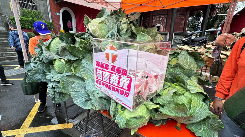 新北市議員林金結義賣高麗菜助菜農，義賣所得捐助學童。   圖：林金結服務處提供