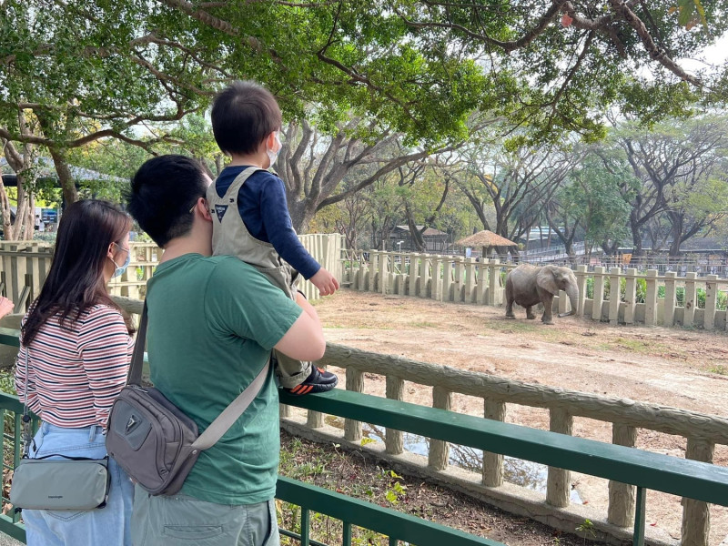 壽山動物園是親子同樂最佳地點首選。   圖：高雄市觀光局/提供