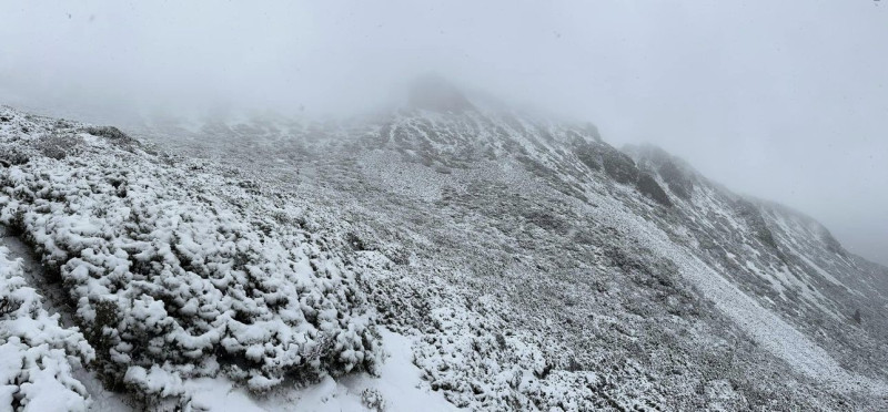 位於中部地區的雪山今(1)日降下罕見的「4月雪」。   圖：翻攝自雪壩國家公園登山資訊分享站