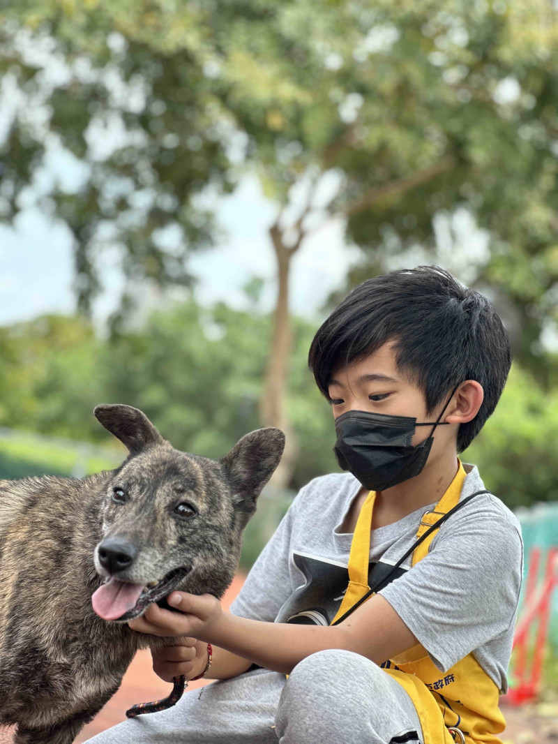 小小兵跟佐助毛寶貝互動。   圖：志工譚宸翔提供