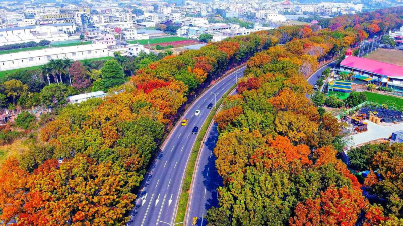 嘉義市世賢路二、三段被譽為「嘉義市最美路段」，季節交替時，鳥瞰世賢路，色彩繽紛。   圖：嘉義市玉山國中楊文華主任/提供