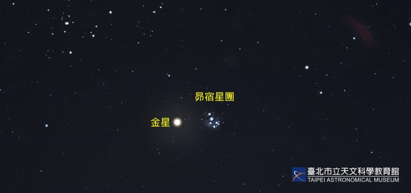 4月11日將出現「金星合昴宿星團」，最亮的行星與最美的星團將相遇在夜空。   圖：翻攝自台北市立天文館官網