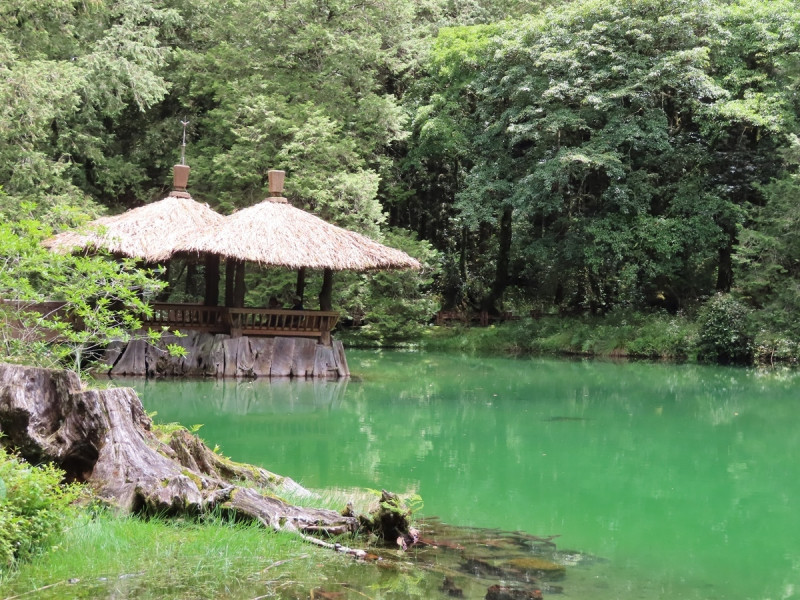 姊妹潭的姊潭為遊客來阿里山國家森林遊樂區必訪景點。   圖：嘉義林區管理處／提供