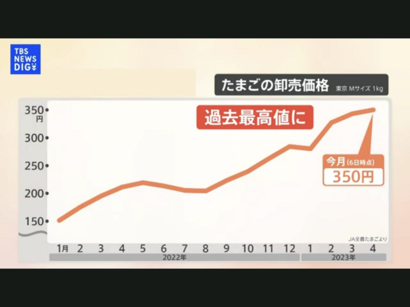 日本雞蛋價格這一年暴漲70%，現在每公斤批發價350日圓。 圖：攝自TBS新聞