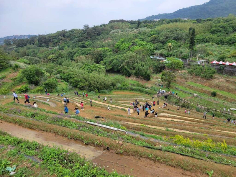 鵝尾山水田。   圖：台北市政府工務局大地工程處／提供