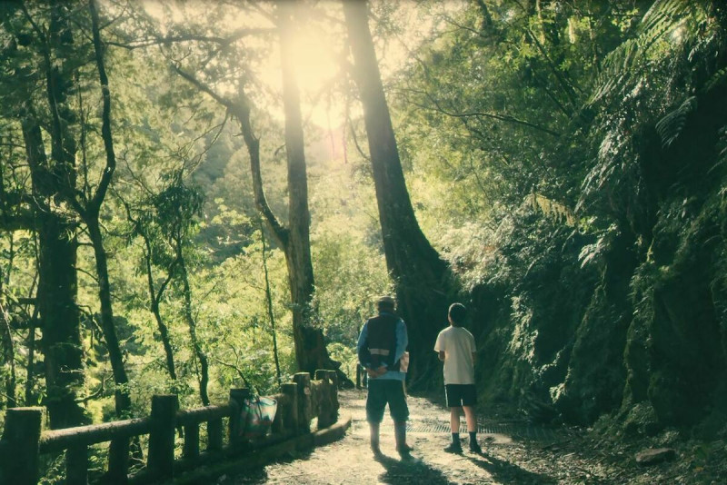 拉拉山國家森林遊樂區位處中海拔霧林帶，保留相當豐富的原始林相，更有全國排名前5名的4大巨木，圖為拉拉山巨木森林與泰雅祖孫。   圖：翻攝自林務局-森活情報站臉書