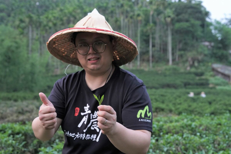 春季碧螺春評鑑，共有192點茶品參賽，今年特等獎由天芳茶行奪得   圖：新北市農業局提供