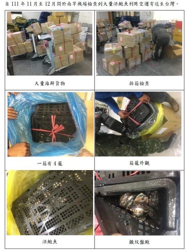 李問指出，馬祖沒養鮑魚，但在去年11月開始的3個月內，卻空運11噸至台灣。   圖：李問臉書