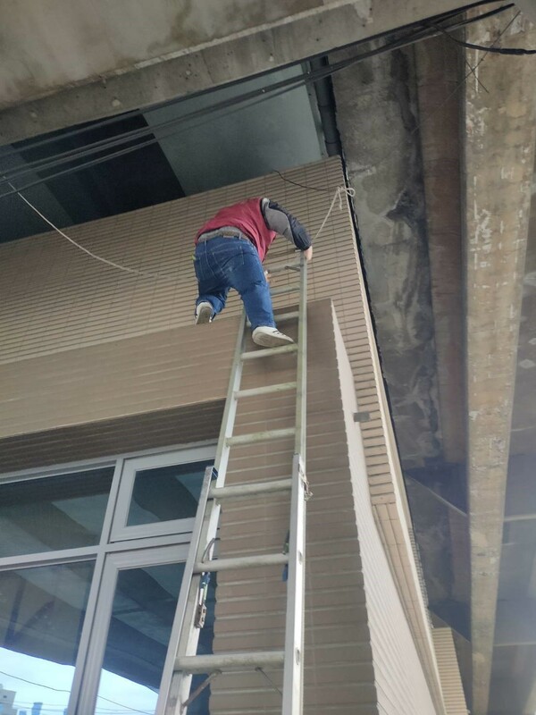 動保員蘇容廷架起長梯冒險救援。                                                      圖：新北市動保處提供 