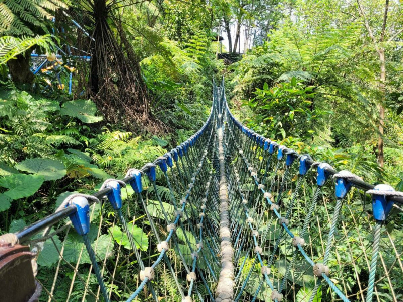 桐花公園裡的三角吊橋。   圖：新北市景觀處提供