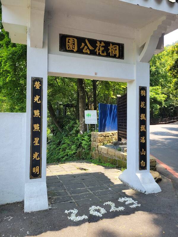 熱門賞桐景點土城桐花公園。   圖：新北市景觀處提供