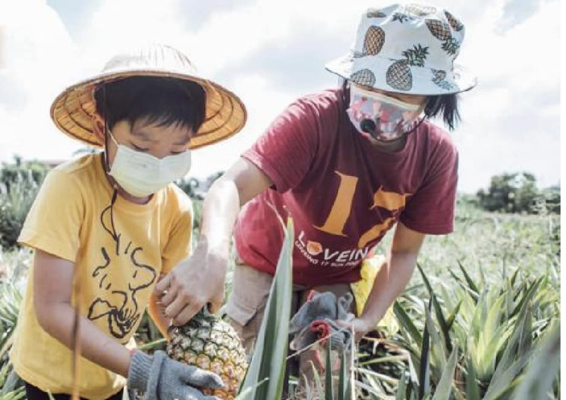 高市議會力挺各級學校採購在地食材。   圖：高雄市政府/提供