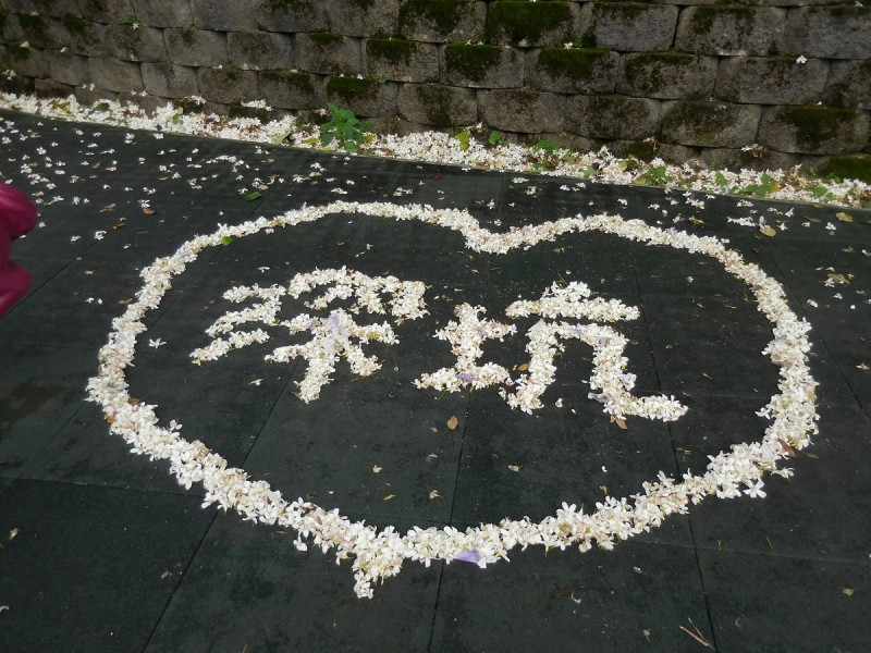 遊客利用桐花落花排成了圖形與文字。   圖：新北市景觀處提供