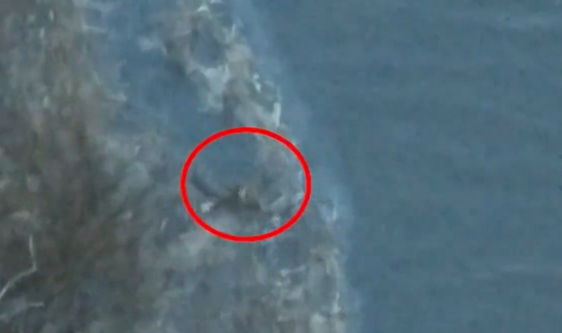 一名俄軍掉入水中，在水面狼狽游泳。   圖：翻攝自 NOËL 推特