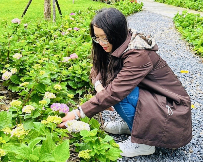 上千株繡球花是新亮點，一年只開一次花，熱愛賞花的「花粉」們別錯過。   圖：新北市水利局提供