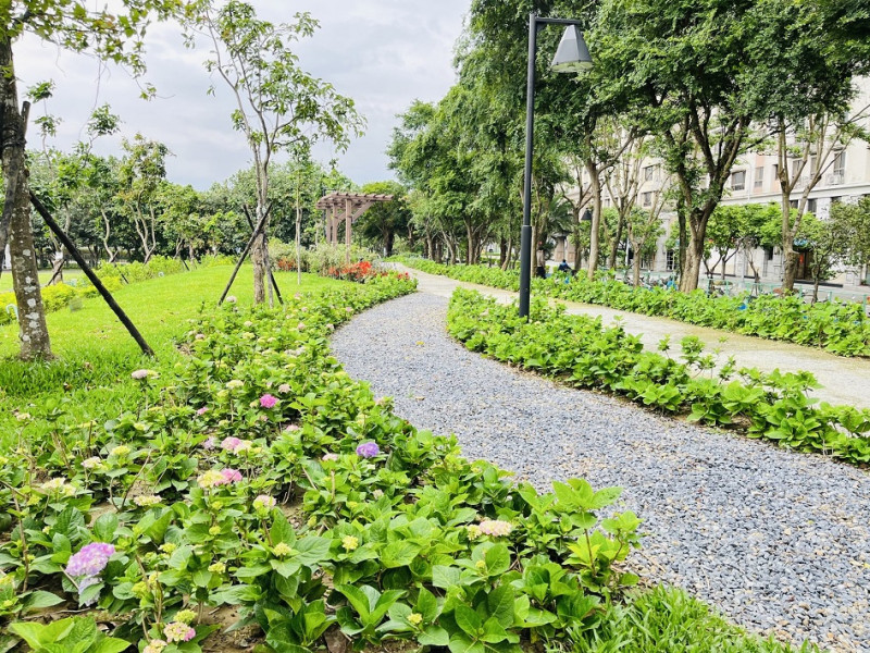 繡球花開啦！北大污水廠旁草花公園29日開放。   圖：新北市水利局提供