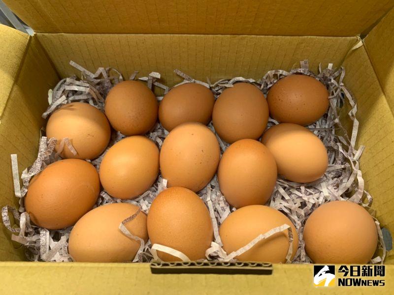 前一陣子台灣歷經史上最嚴重的蛋荒，蛋價一度高漲，但隨著近期氣溫回升，加上專案進口蛋的支援，目前國內雞蛋價格也逐步回。   示意圖：NOWnews資料照