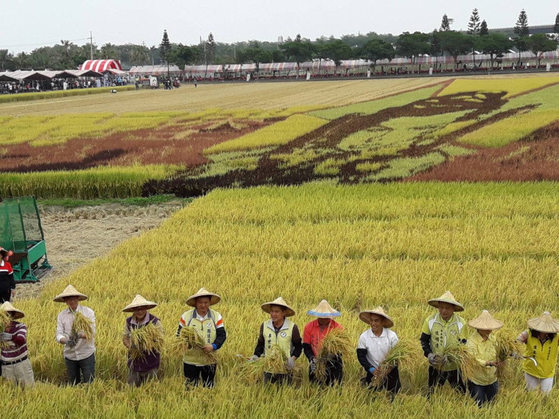 一堆人擠在稻田裡慶祝收割，讓所有人都開心極了。   圖：屏東縣政府提供