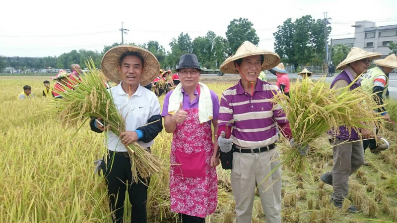 早期台灣農民，會同心協力互相幫忙收割。   圖：屏東縣政府提供