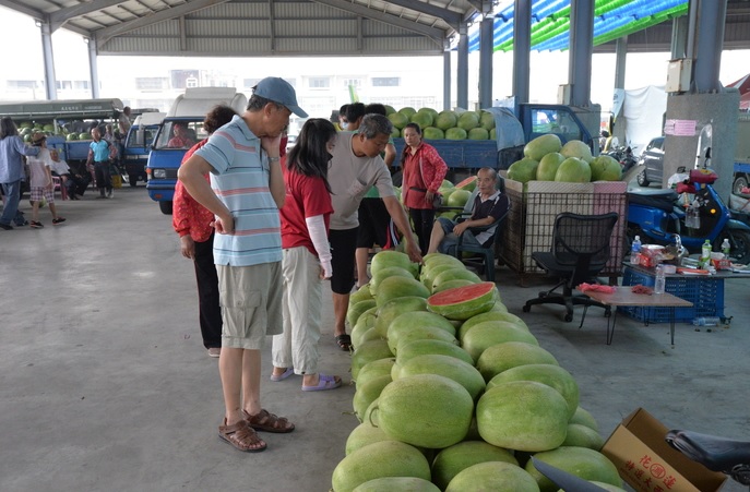 2017雲林二崙西瓜節今（6）日上午9時30分在自強果菜市場熱鬧登場。   圖:雲林縣政府提供