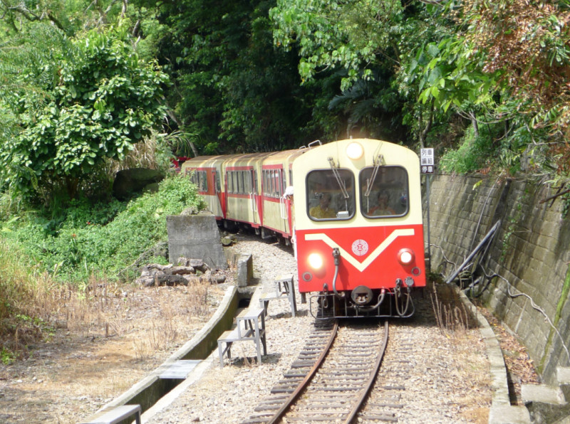 搭乘阿里山小火車,欣賞山間雲霧繚繞美景。 圖:阿里山森林鐵路管理處提供